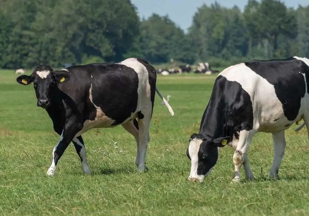 agromarketing pro farmy a jejich dodavatele